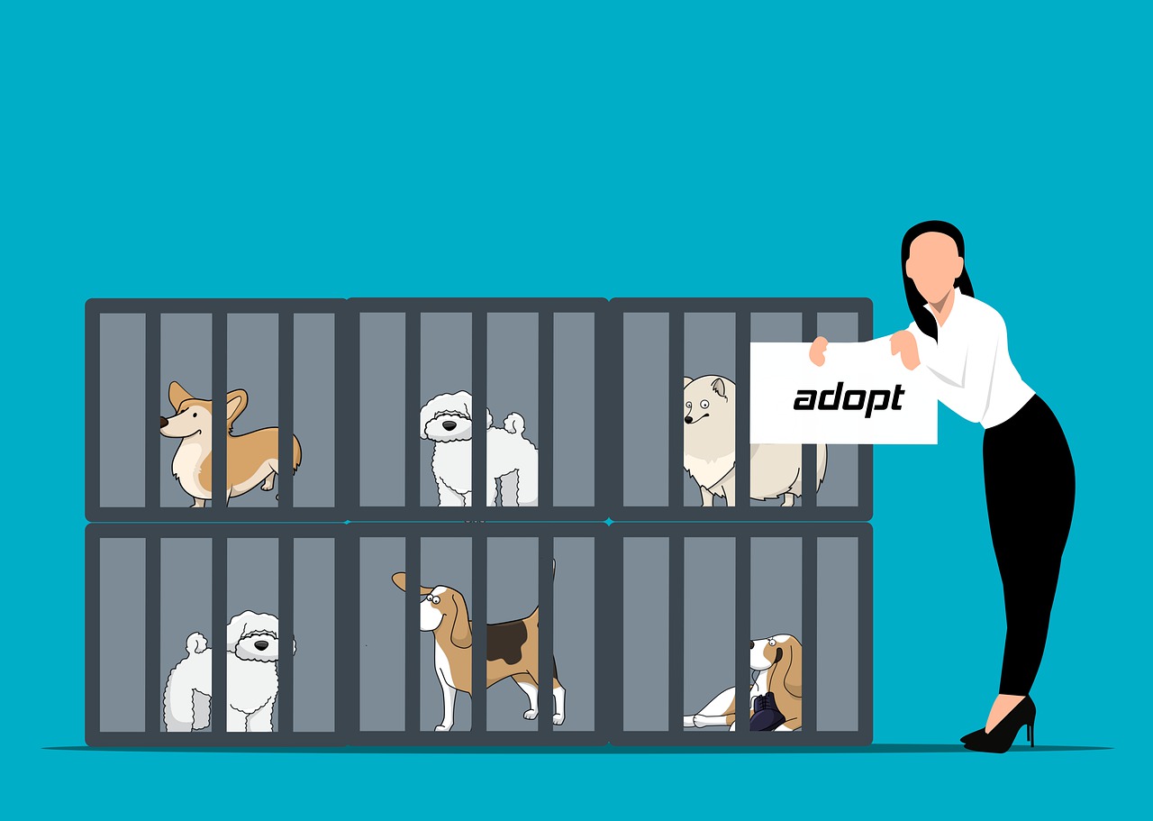 adopt-puppy