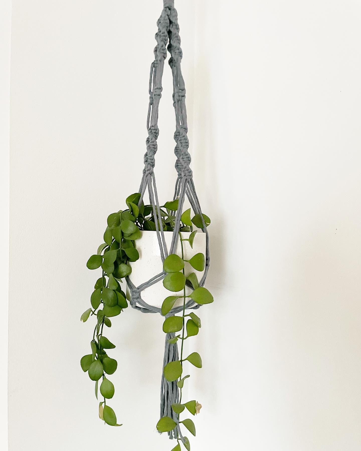 macrame flower pot hanger