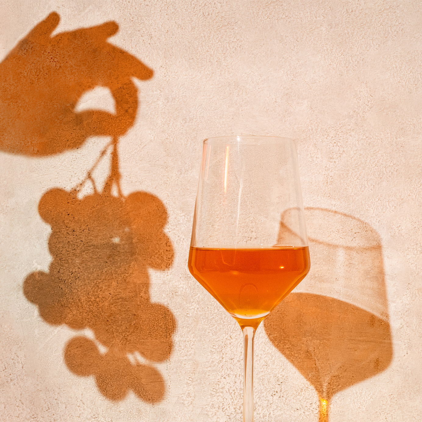 orange-wine-guide