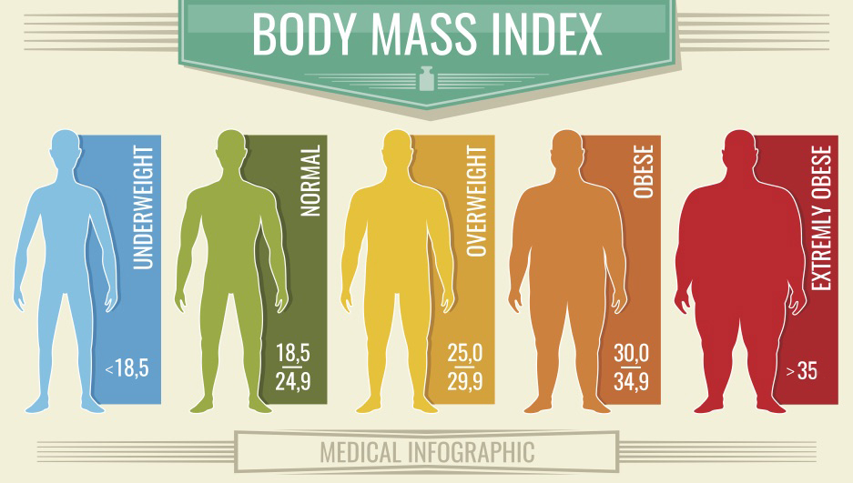 bmi summary