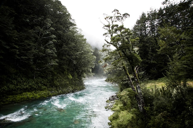 A photo from Unsplash by Evan Clark of the Routeburn Track