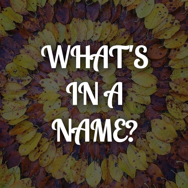 What is in a name?