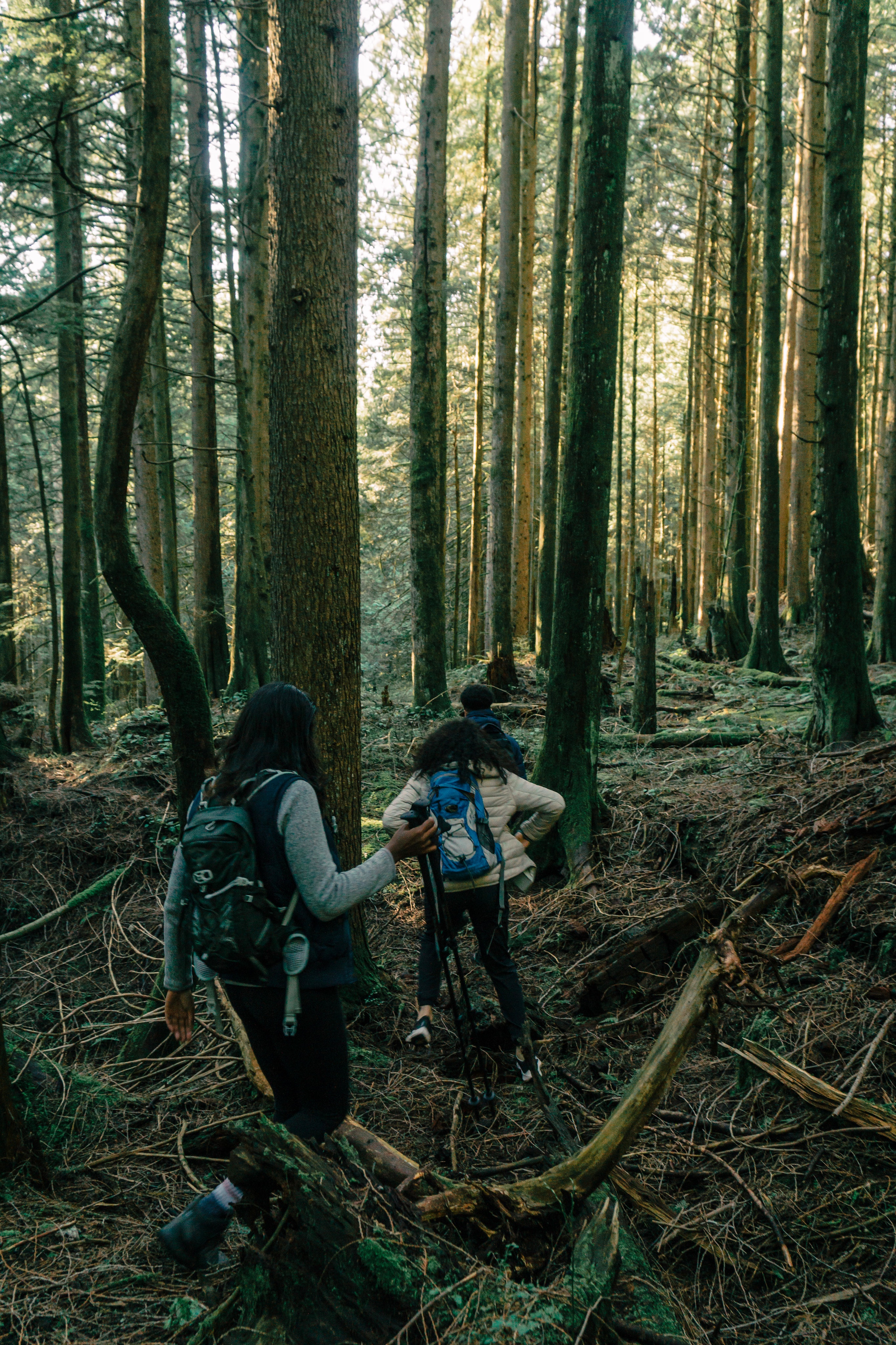 women-hiking-in-woods
