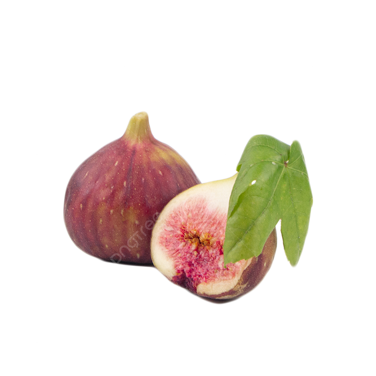 Fig