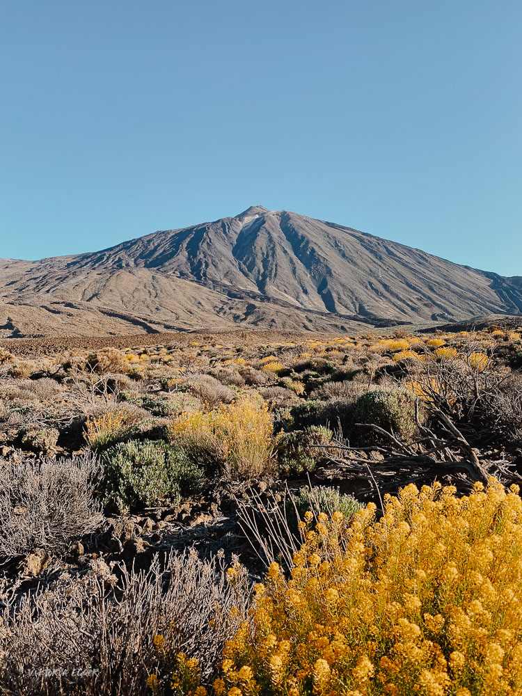 Tenerife Teide