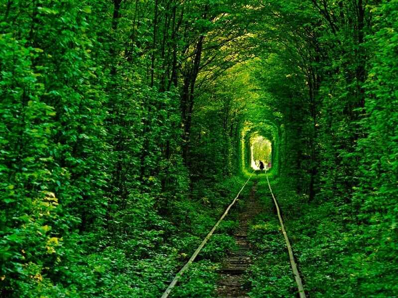 Tunnel of Love
