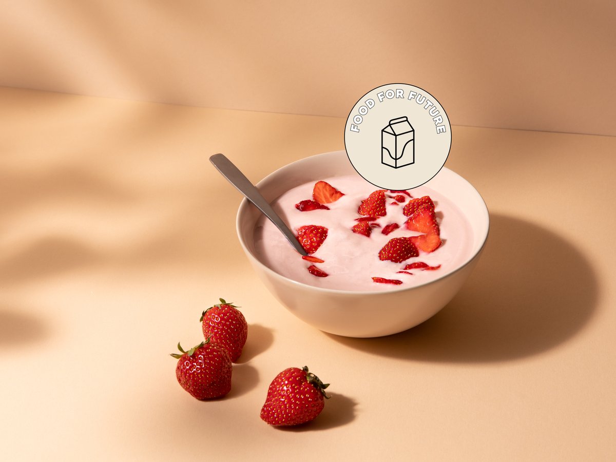 Image of plant based yogurt in a bowl with some strawberries