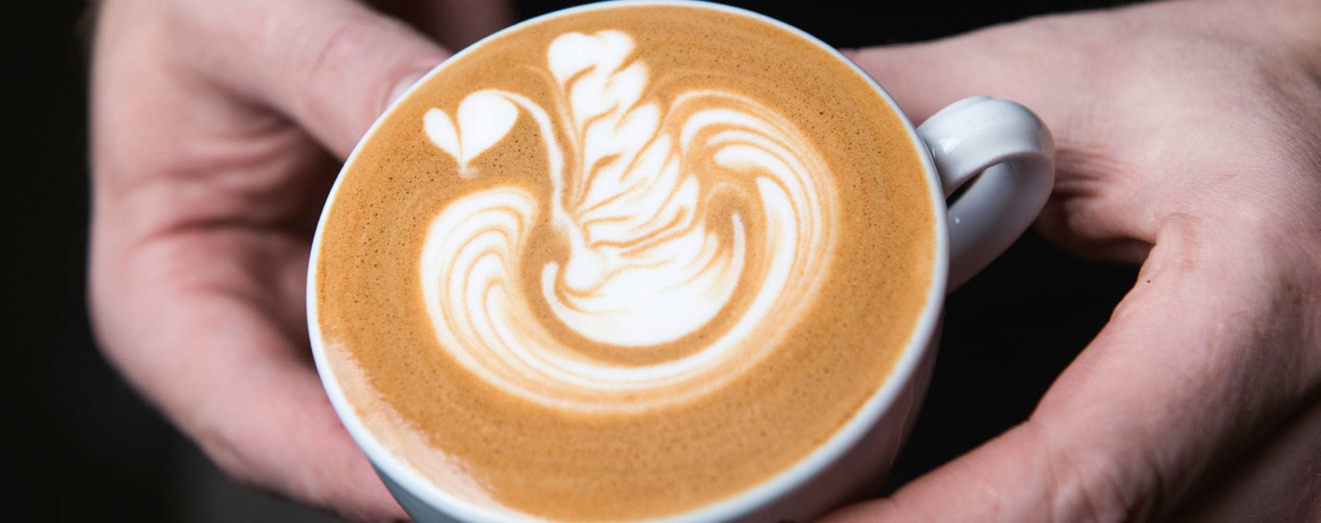 Hands holding a latte with a swan design