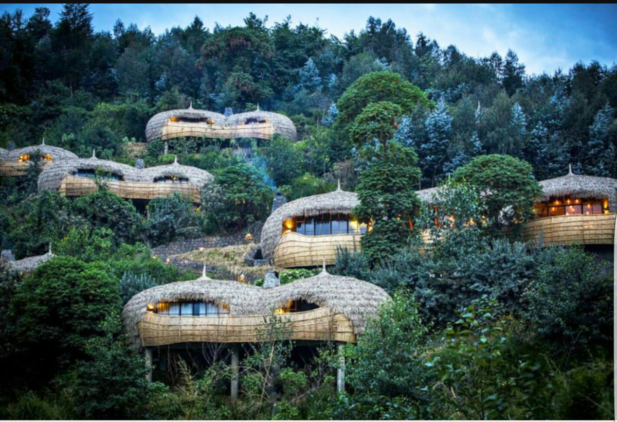 Virunga national park