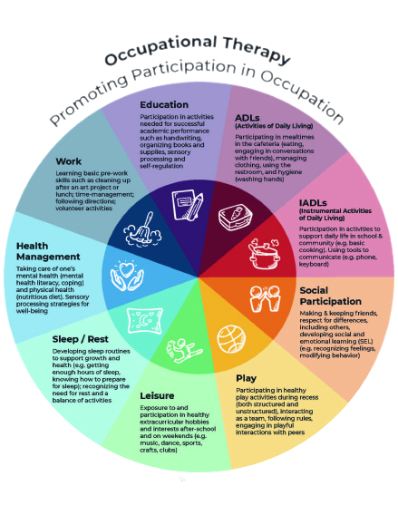description of daily occupations