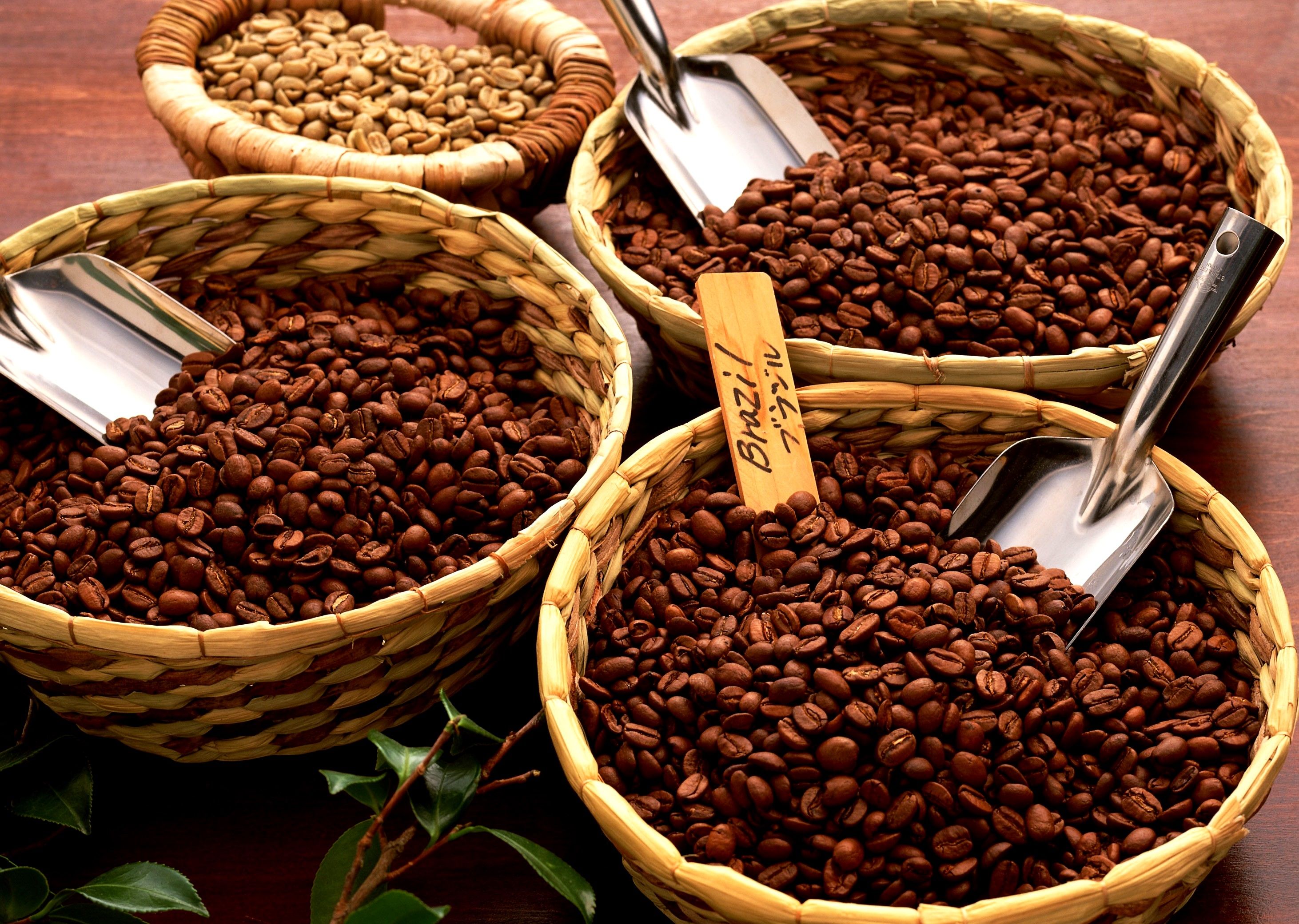 Brazilian coffee beans