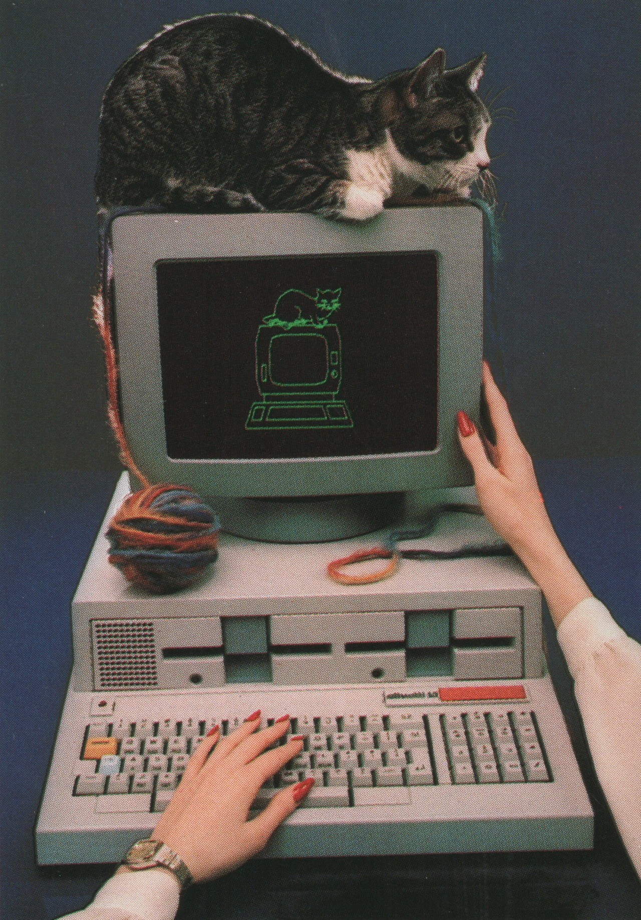 PC Cat
