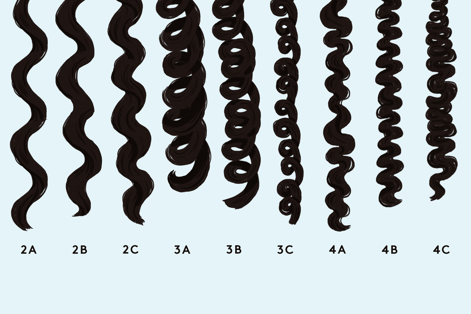Curl Types