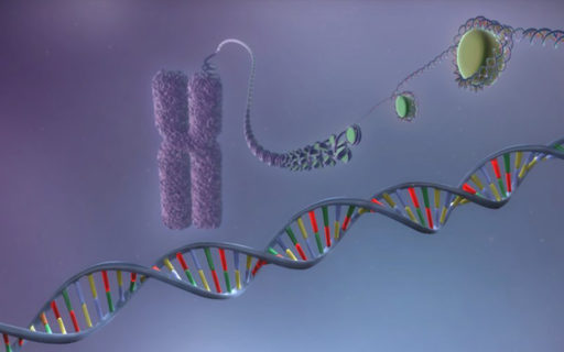 Dna na protein synthesis
