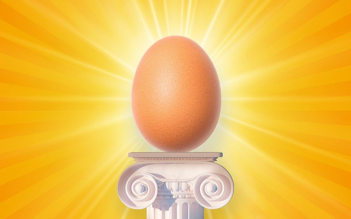 Remarkable Egg