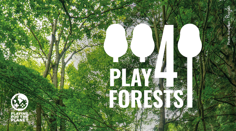 Play Forest with a background full of trees