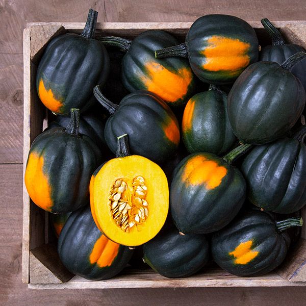 Acorn Squash