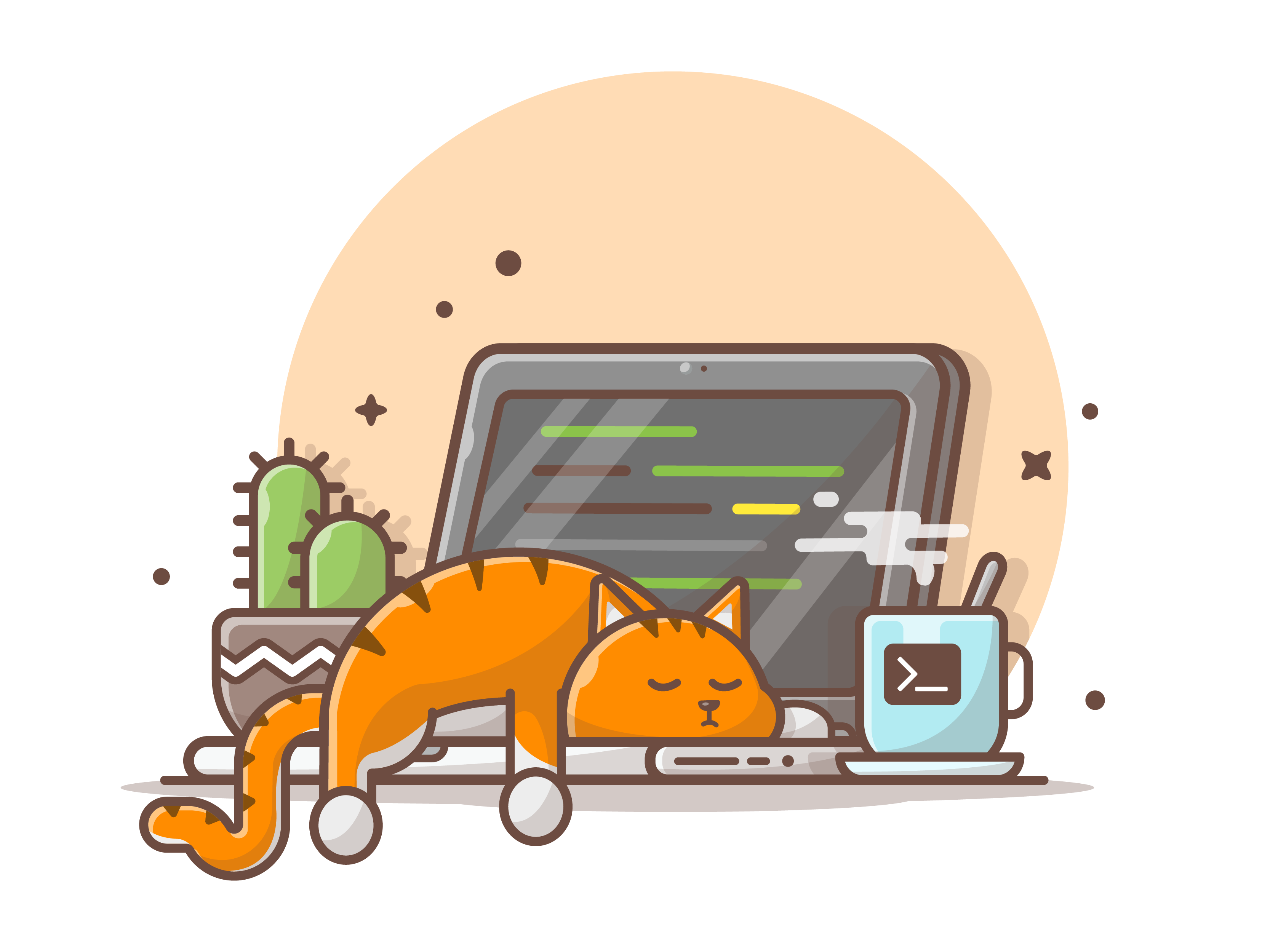 cat coding
