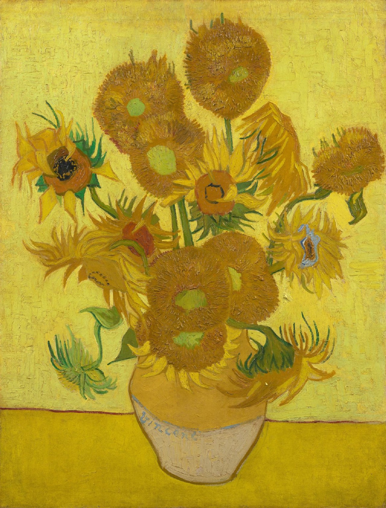 Sun Flowers