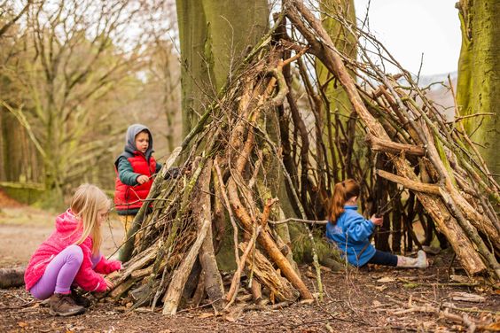 Children playing on a tree