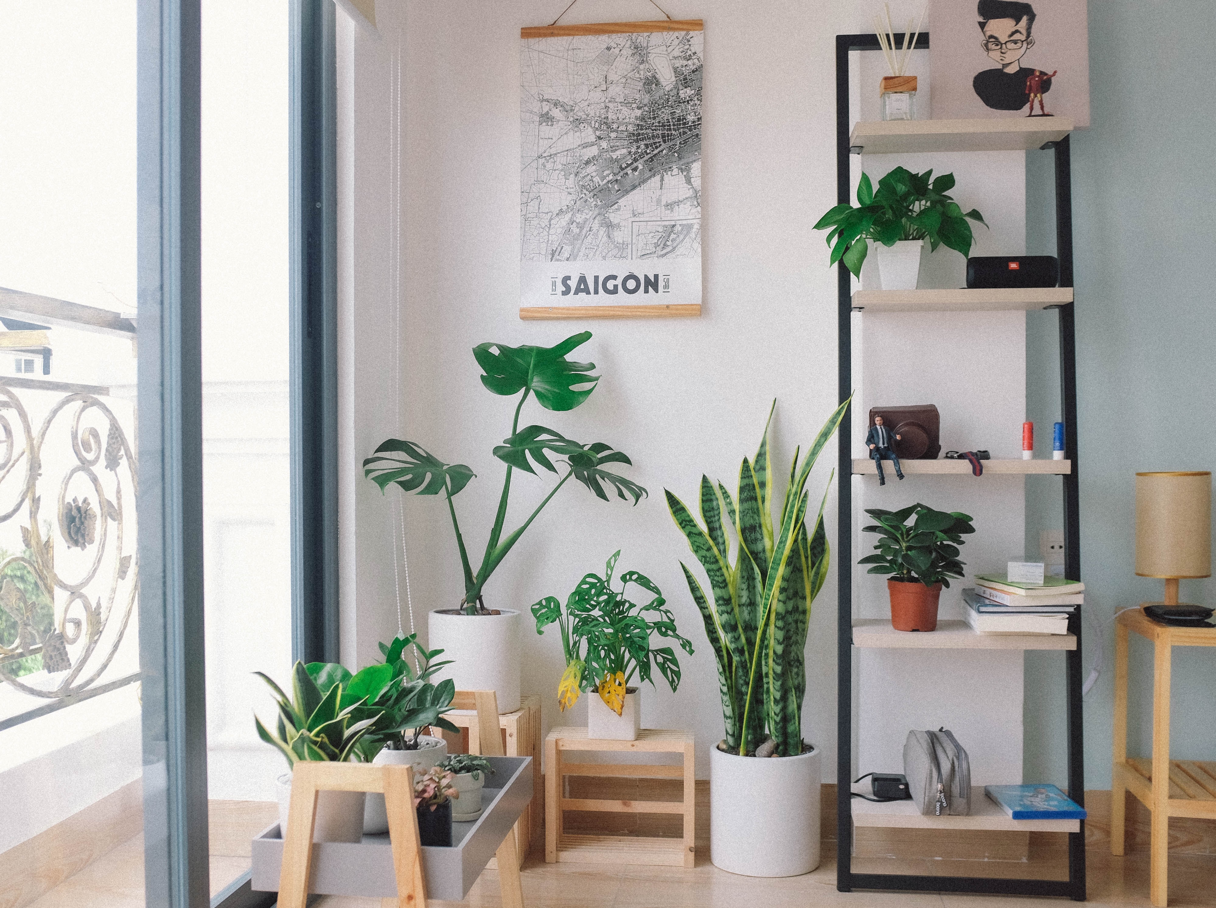 sunny room with house plants