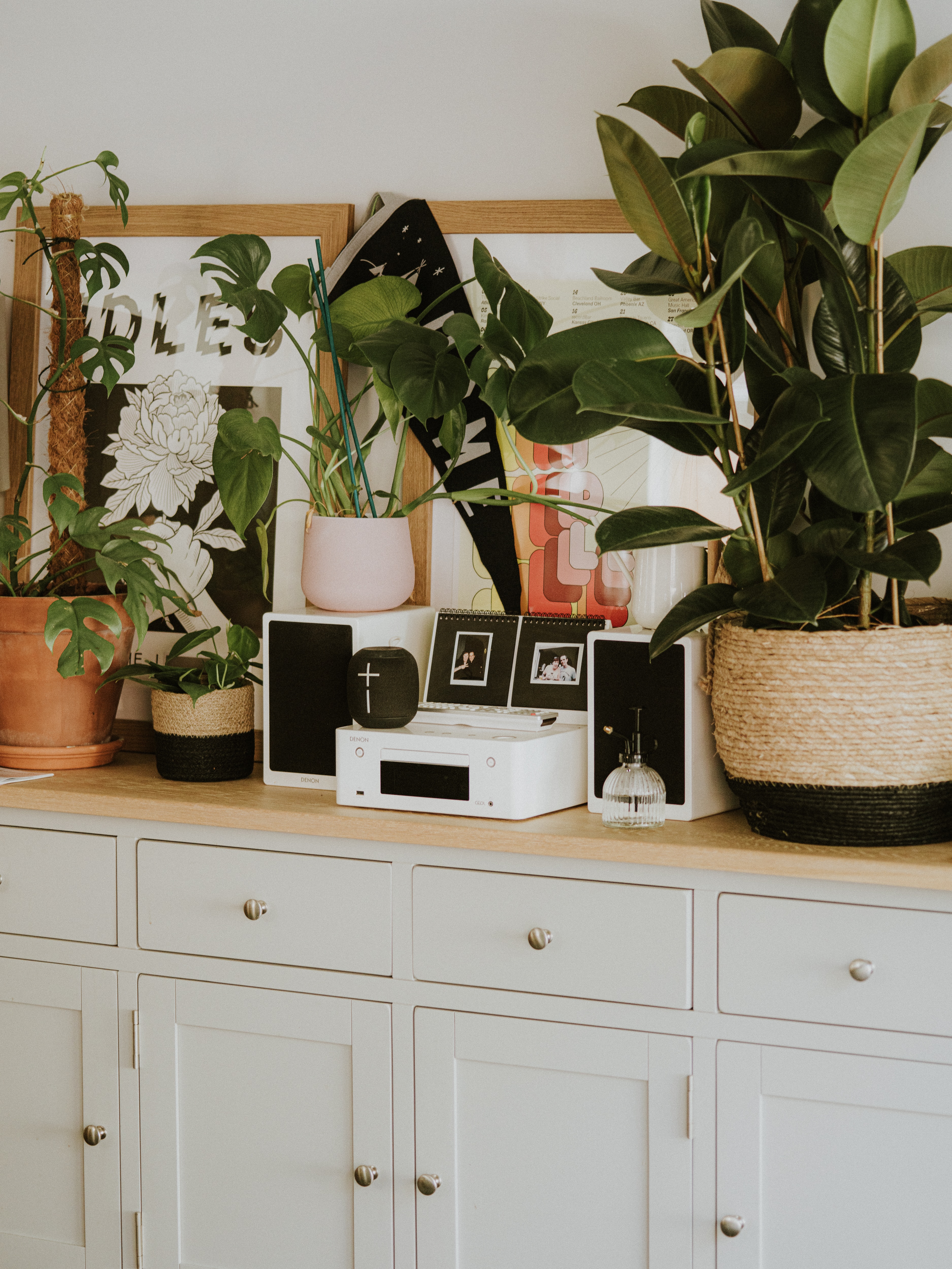 decorative house plants on shelf
