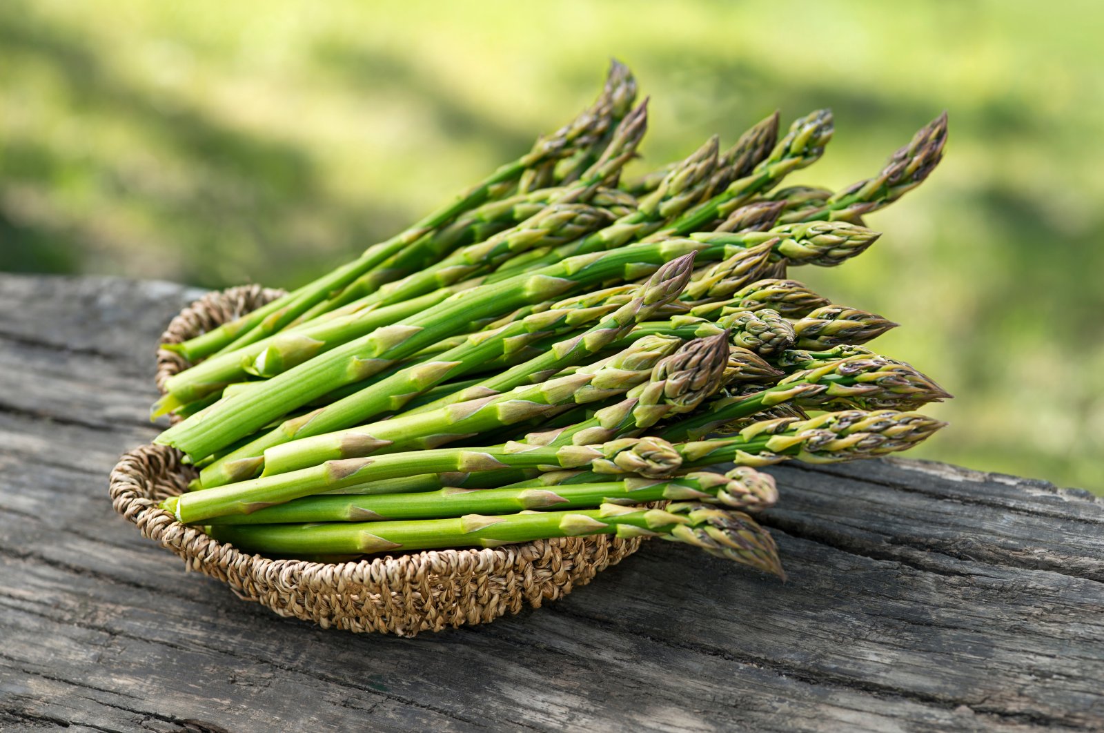 Asparagus picture