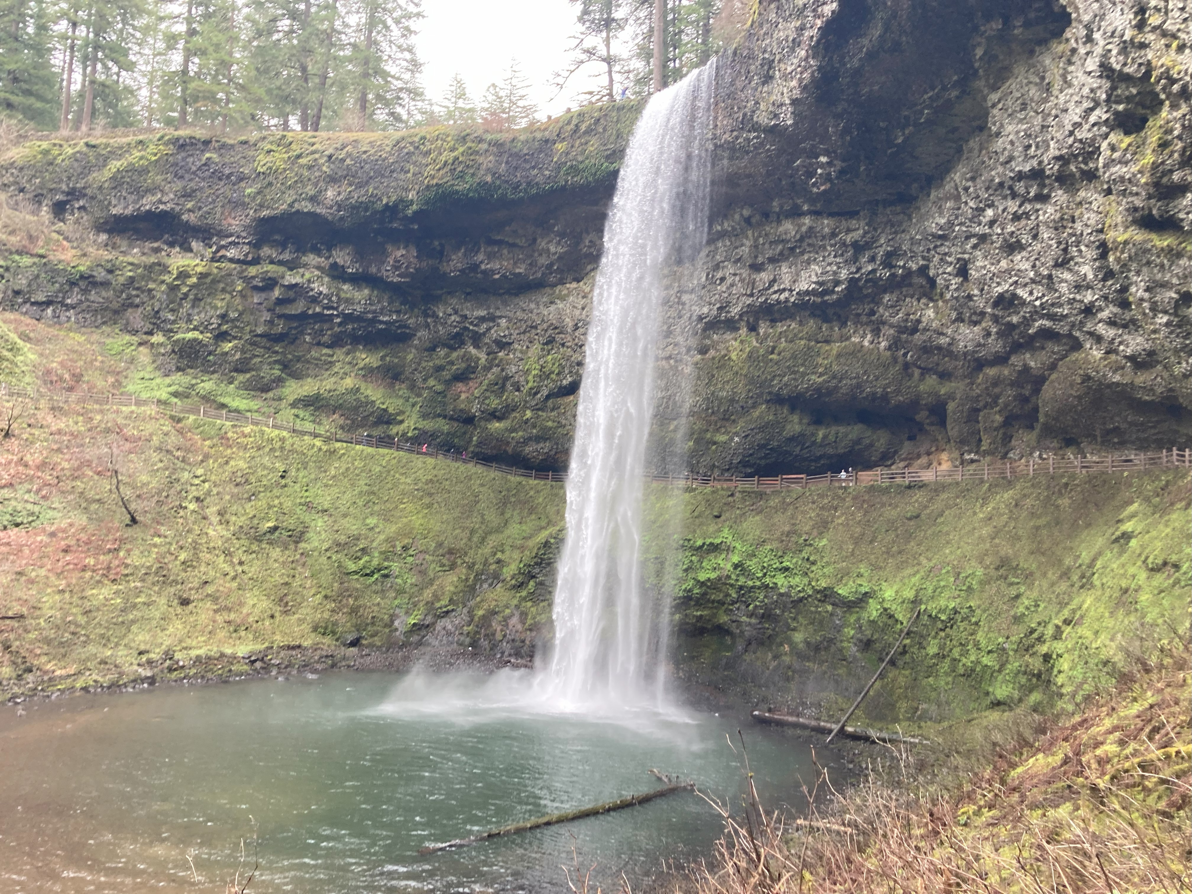 Silver Falls State Park