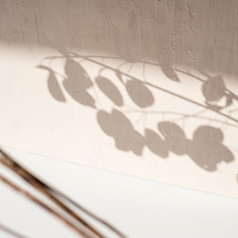 shadow of small leafs