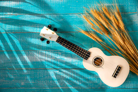 ukulele on the desk