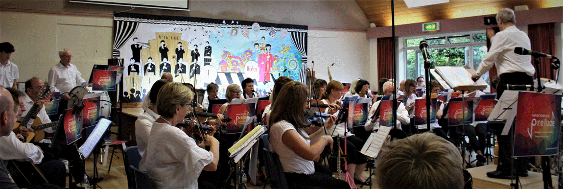 Image of Marchwood Prelude Orchestra
