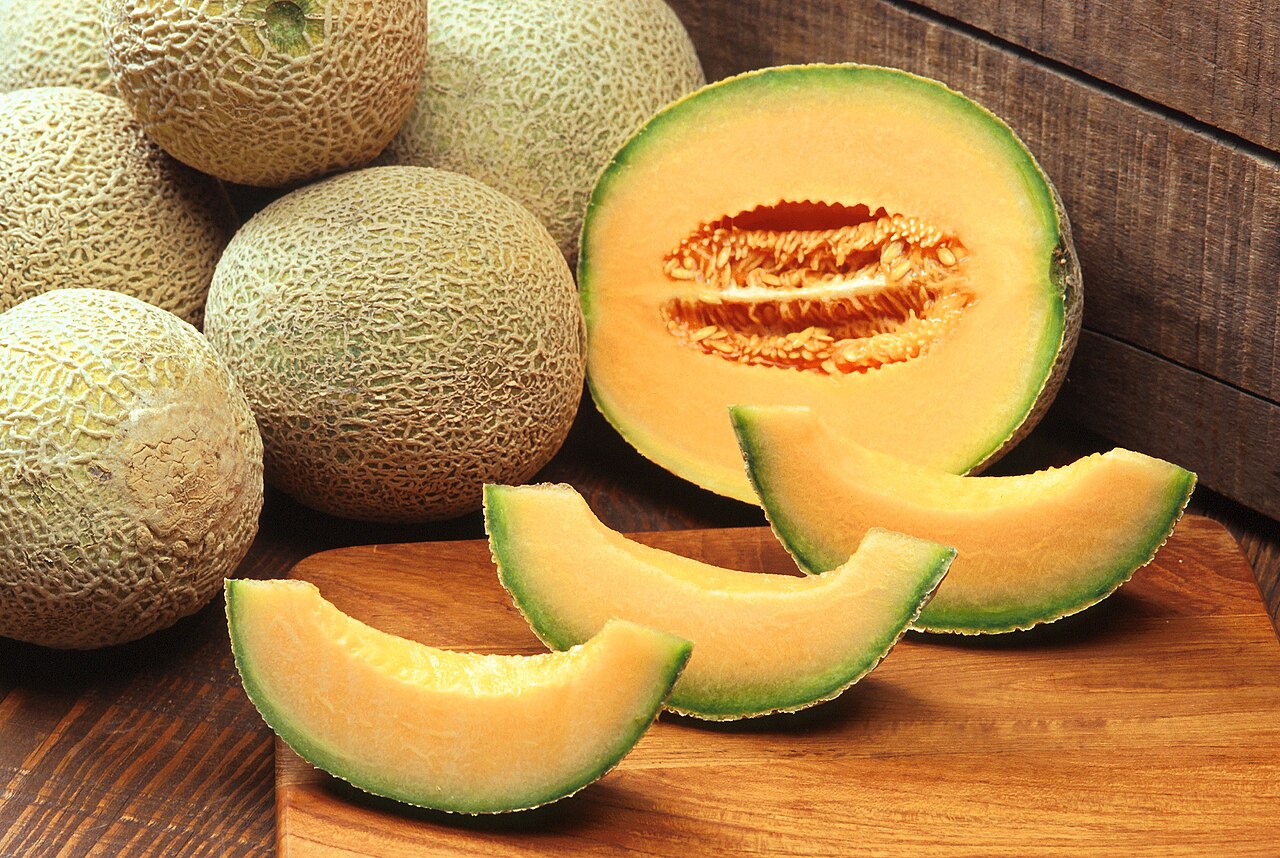 rockmelon