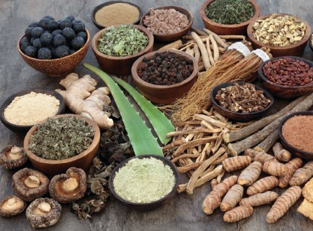 Picture of Ayurvedic Herbs