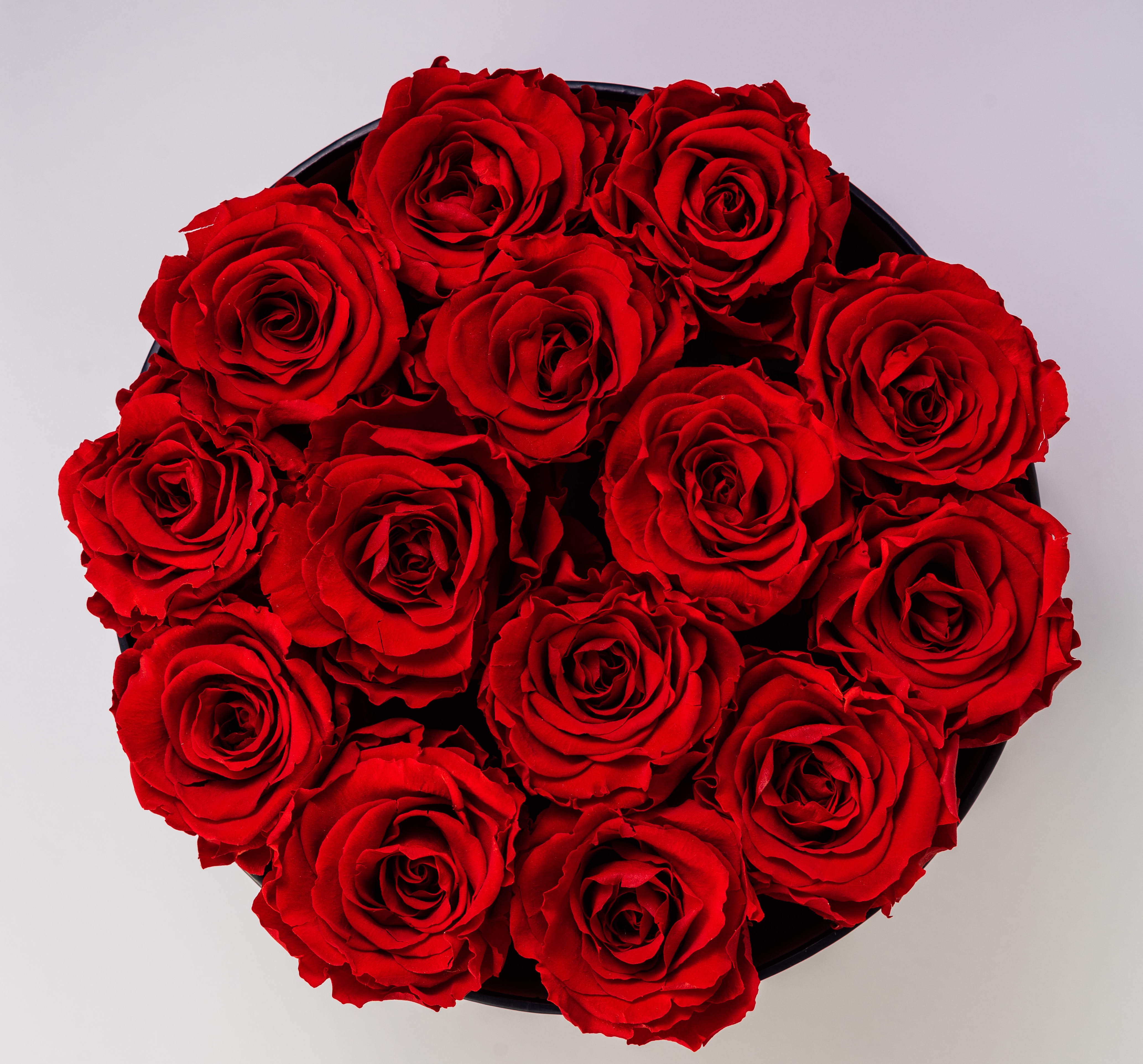 Red Roses Image