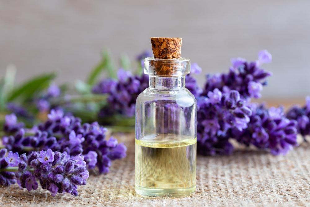 lavender_essential_oil