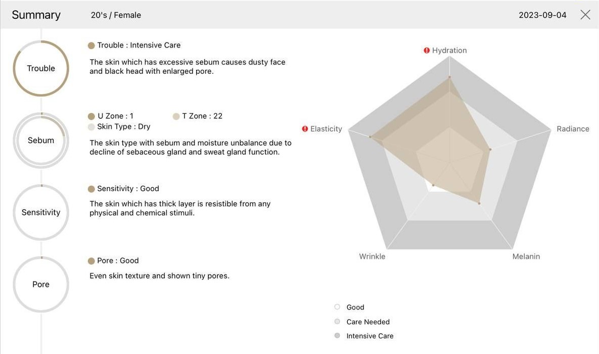 An example of the summary of facial skin analysis results