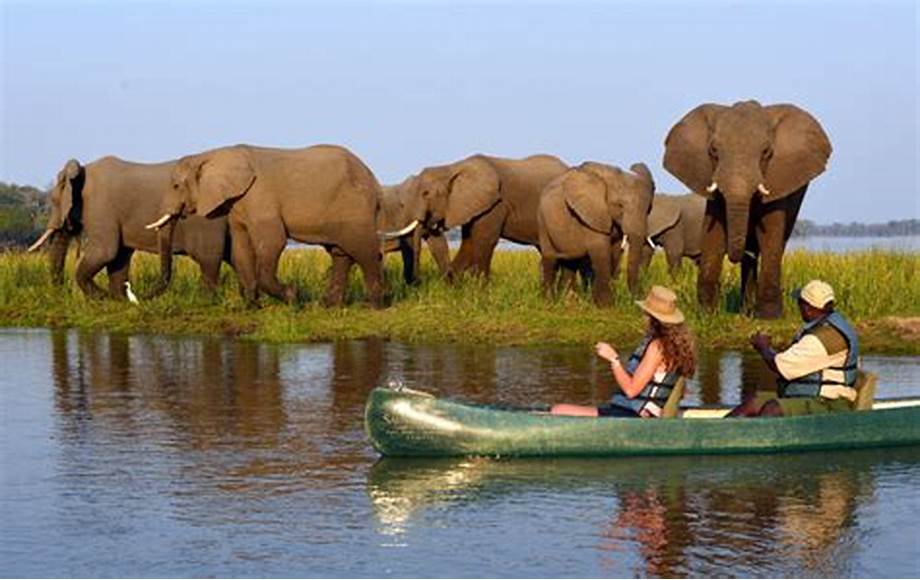Elephants on bank of river with a canoe in forground