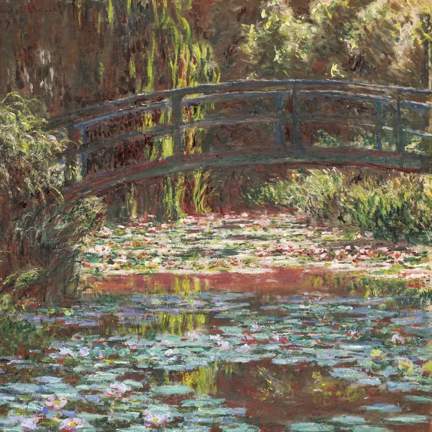 Lily Pond