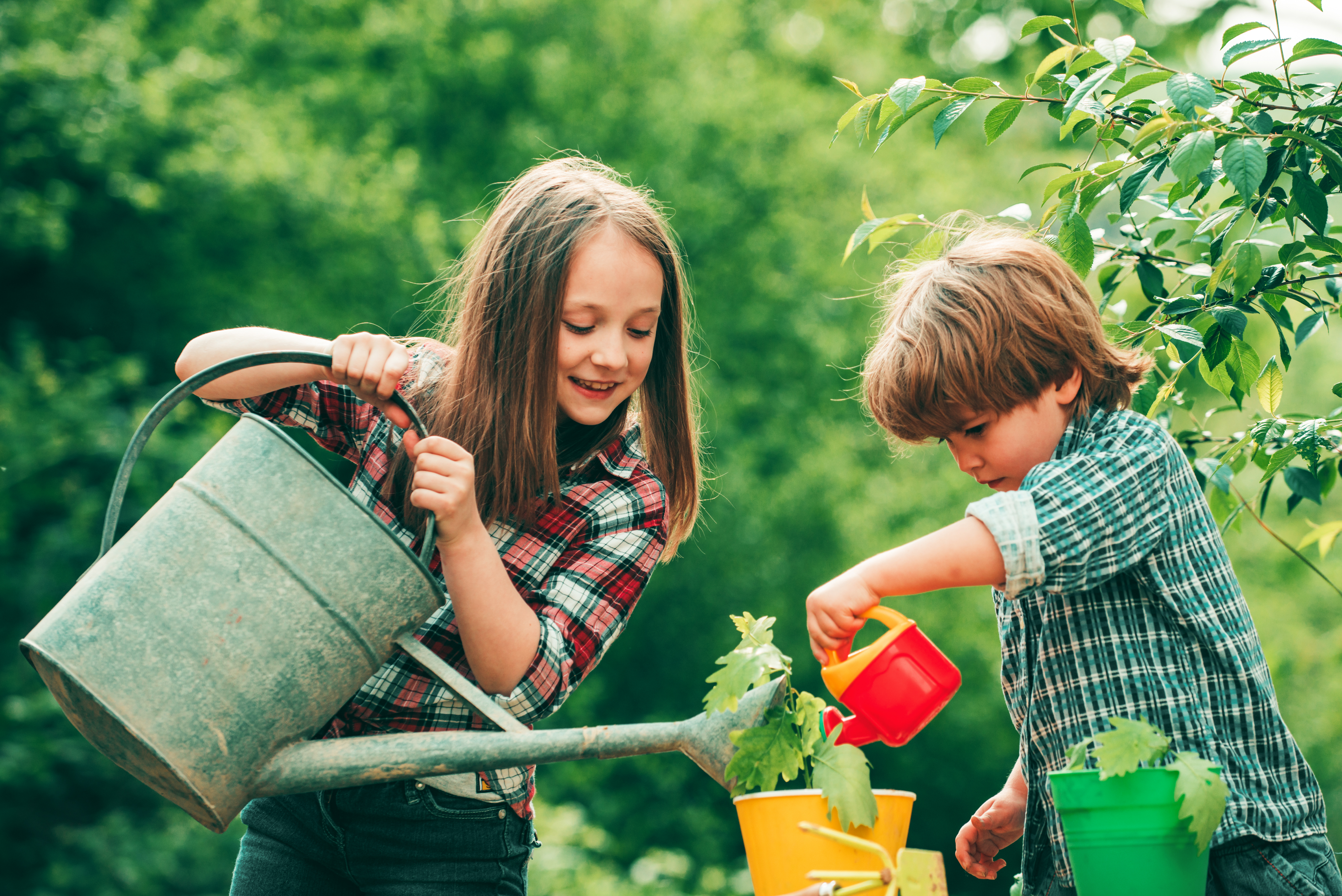 Kids gardening