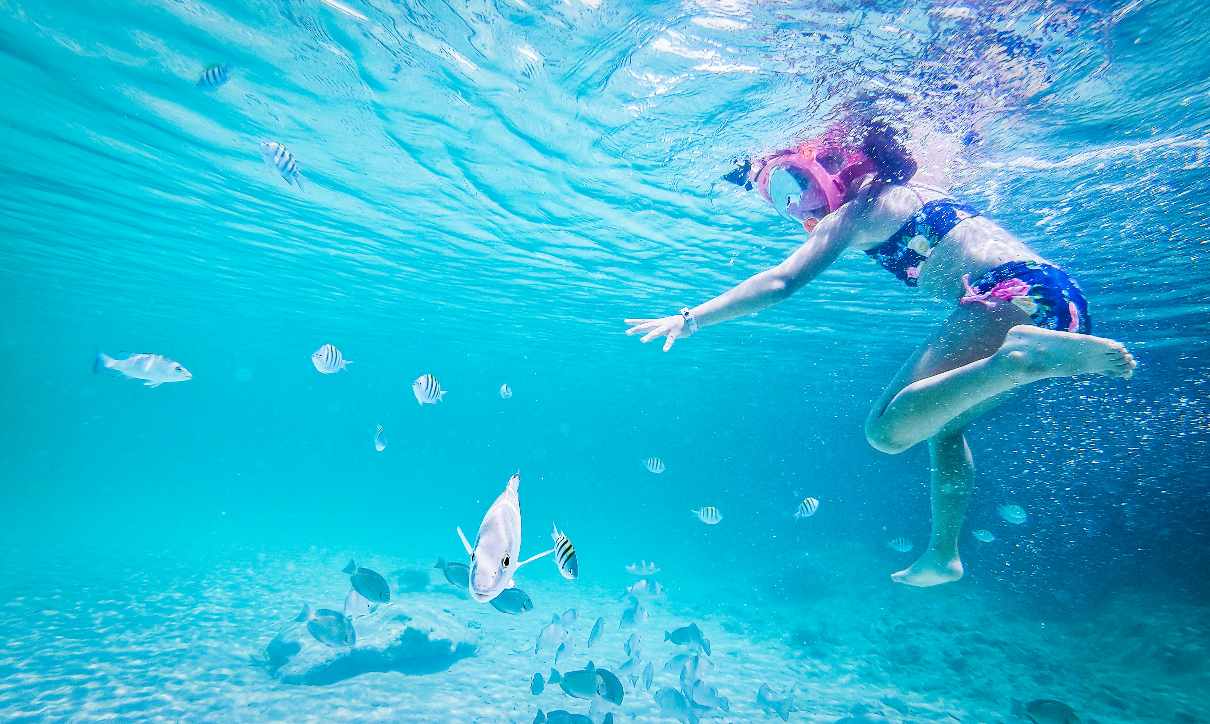girl swimming with fish 