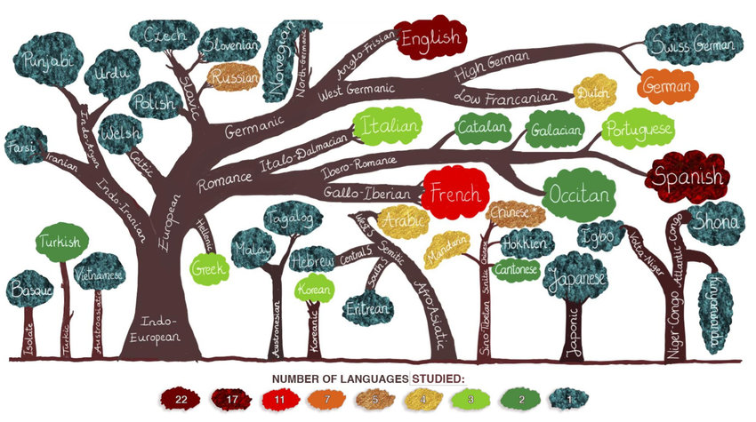 a language tree
