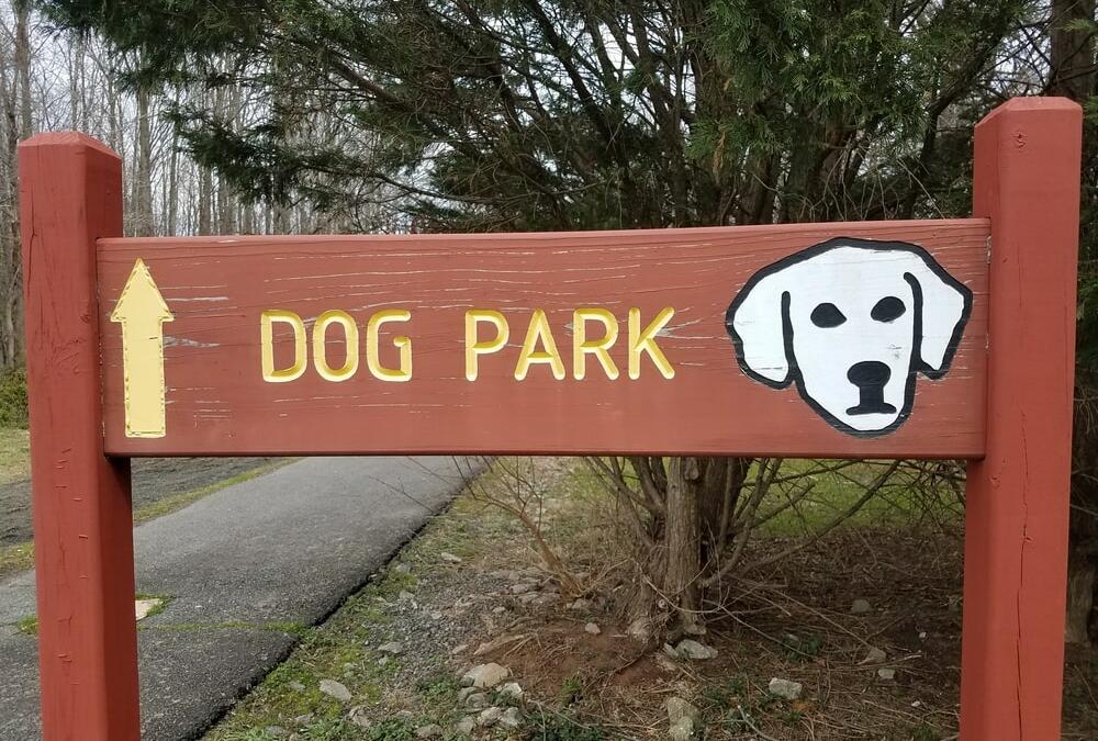 Dog park ahead!
