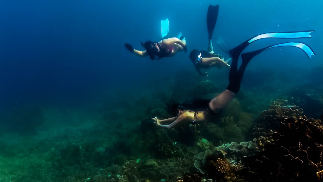 Image of a free-diver