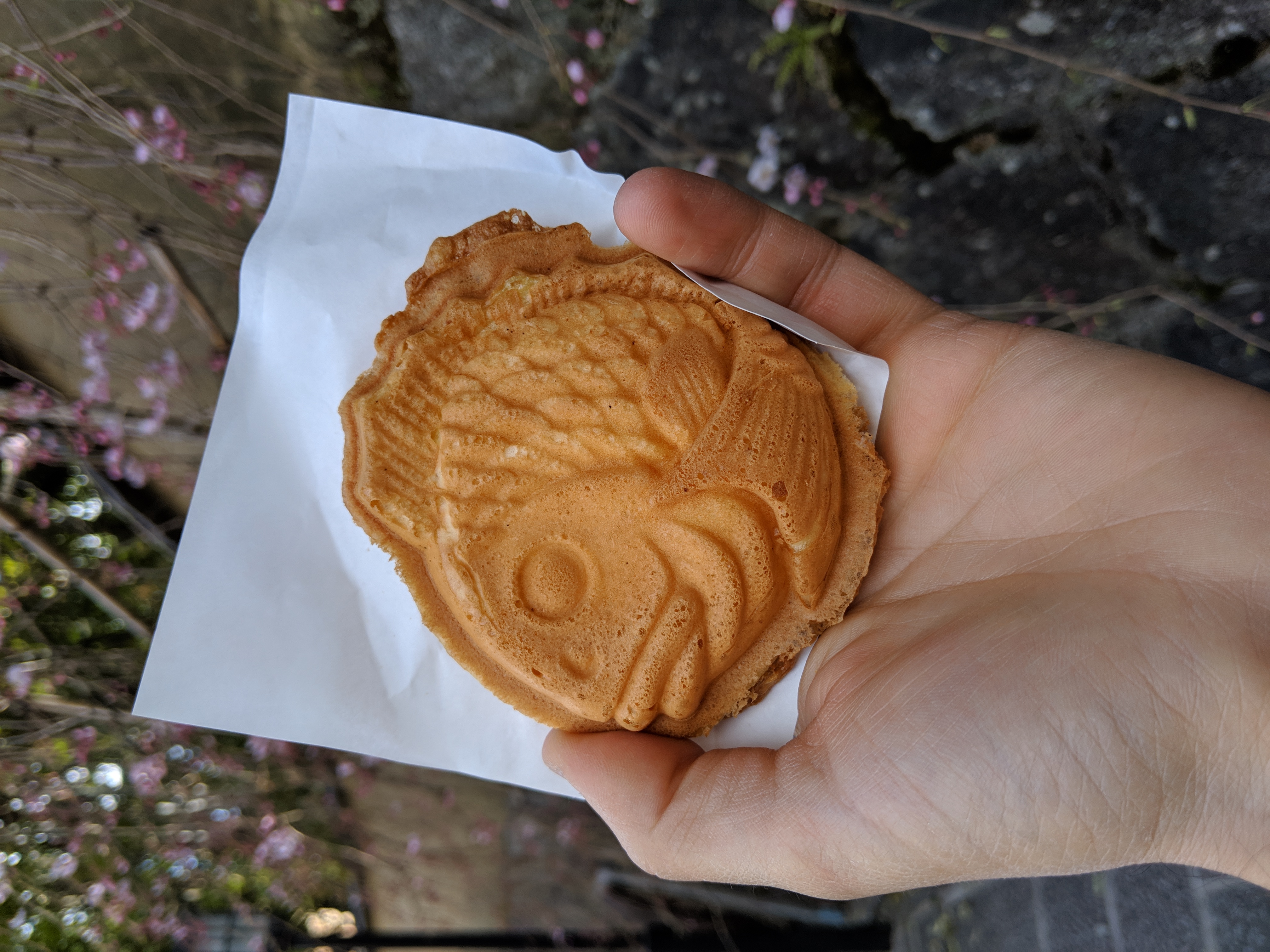 taiyaki