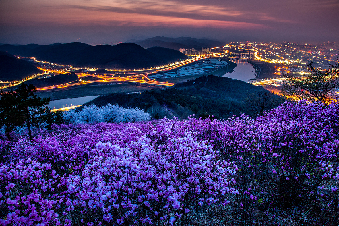Daegu, South Korea