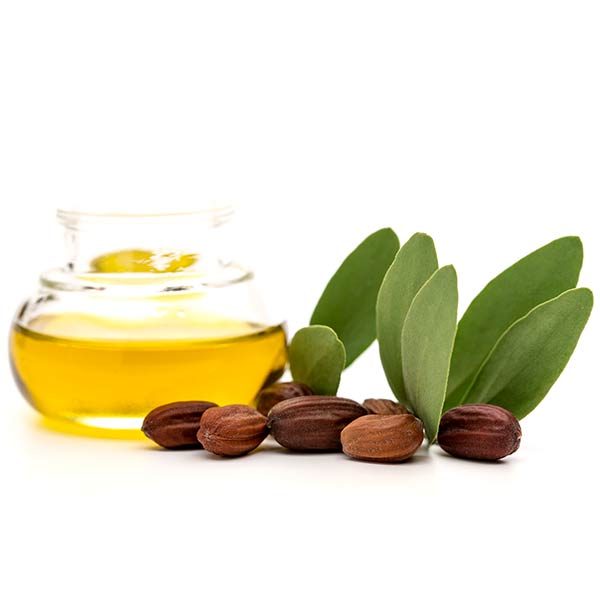 Jojoba oil