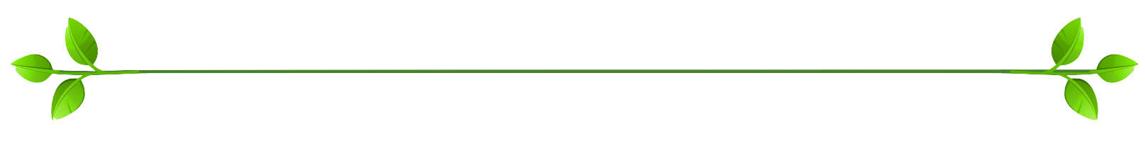 divider image; no relevancy to document