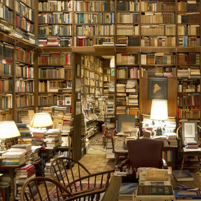 Library full of old books