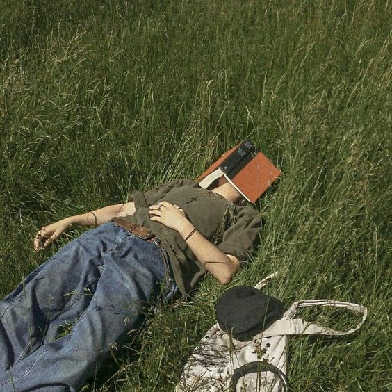 Person napping with book