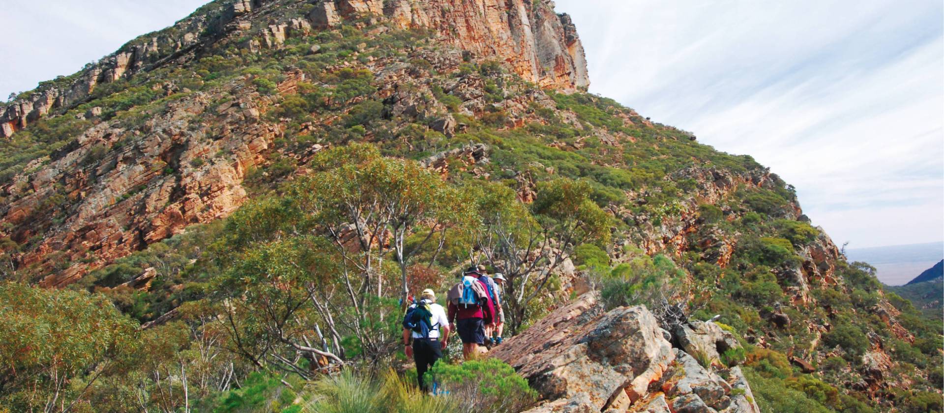 Heysen Trail image